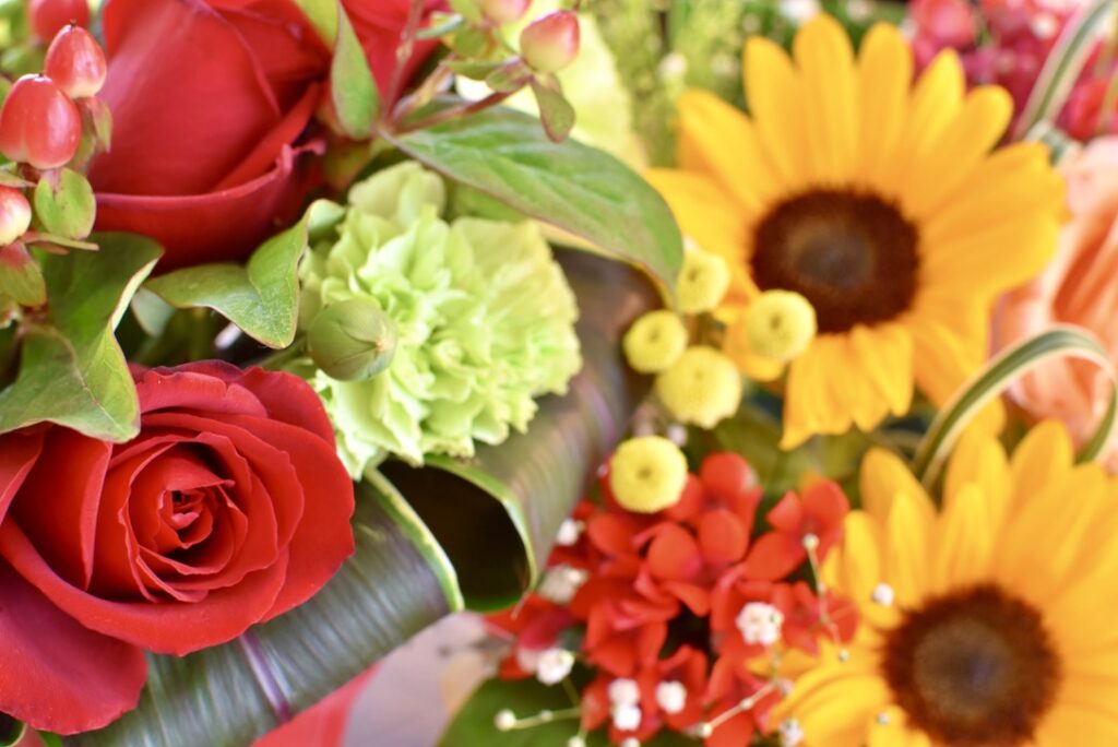 一眼レフカメラを購入する時の選び方