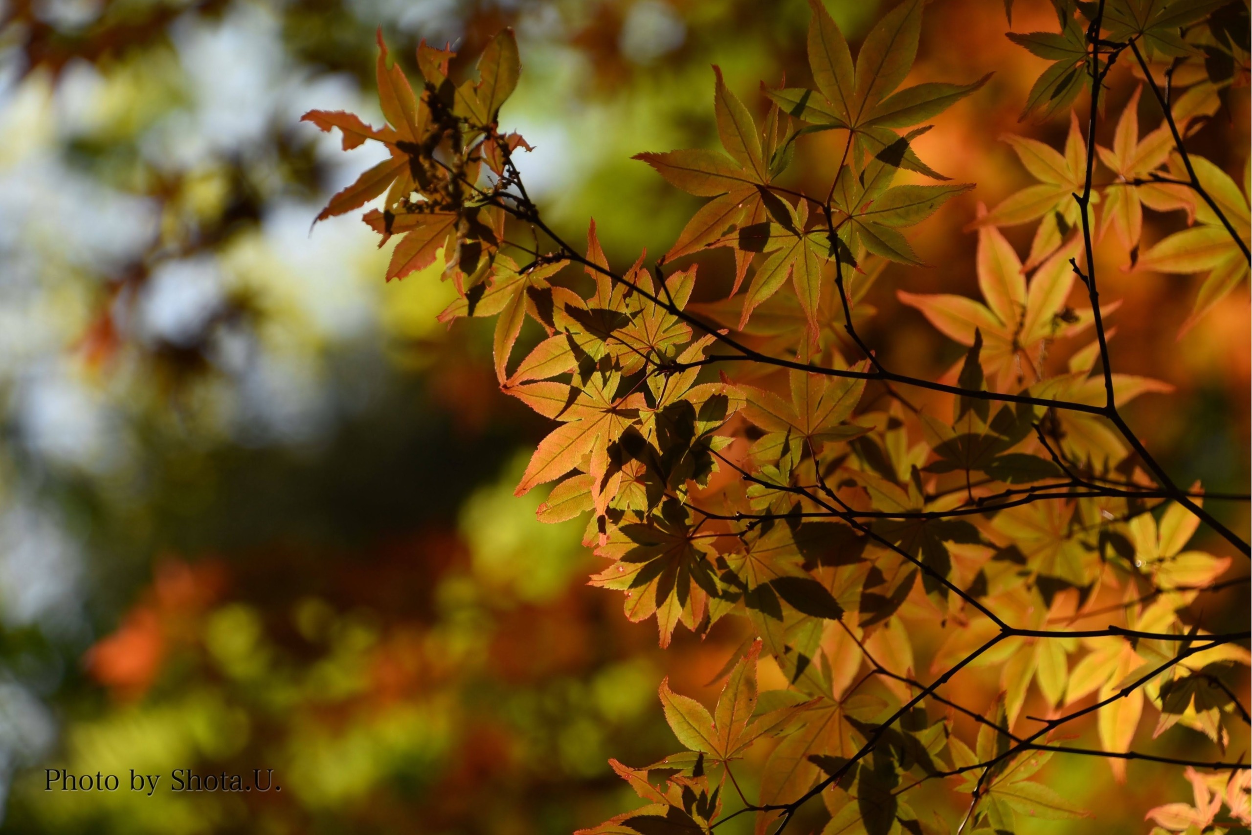 主役が手前、脇役が奥に位置する